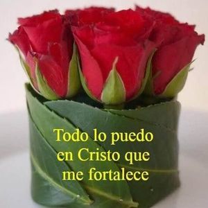 Meet your Posher, Marta